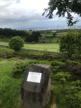 view