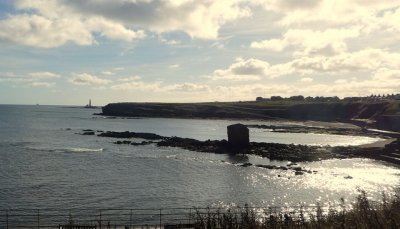 bay