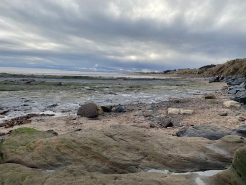 shore