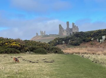 castle