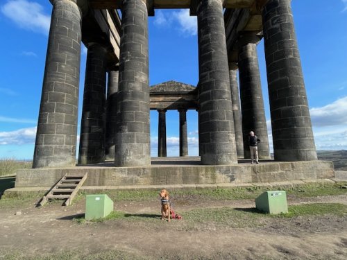 Ruby at Penshaw