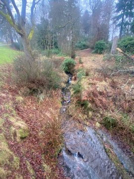 waterfall