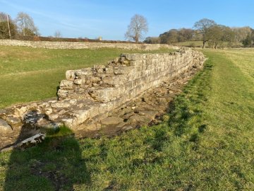 wall