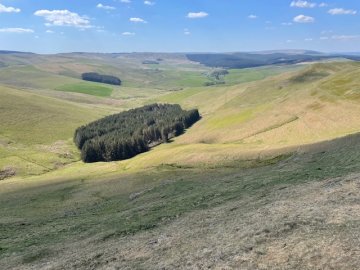 hills