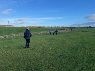 fields