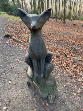 fox